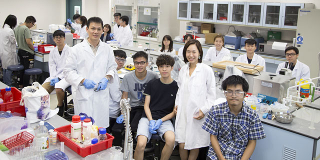 应用科学学部同学利用崭新「斑马鱼」胚胎毒性测试技术进行实验