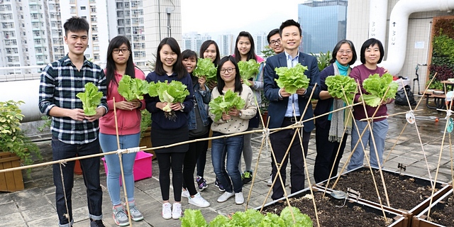 Rooftop Farming Project 2015-16 by CIE Green Ambassadors