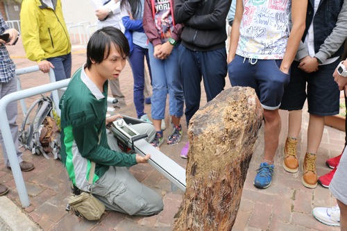 Mr. Desmond Tang showed ENCS students how to use a Resistograph to reveal internal defects of wood.