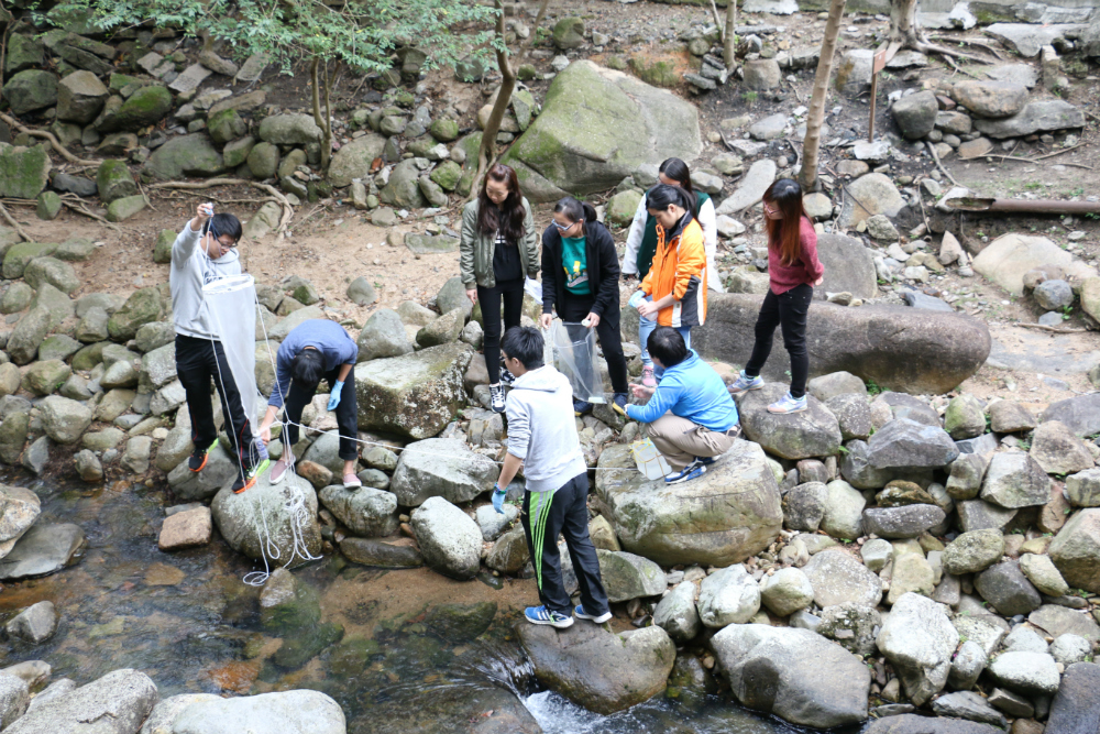GRMG students were conducting field survey in the upper section of Kai Tak River.
