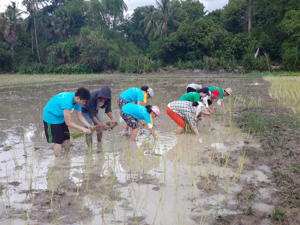 参与同学走到农田体验耕作，种植稻米，了解稻米、谷麦的生长情况，体会到粒粒皆辛苦的道理。