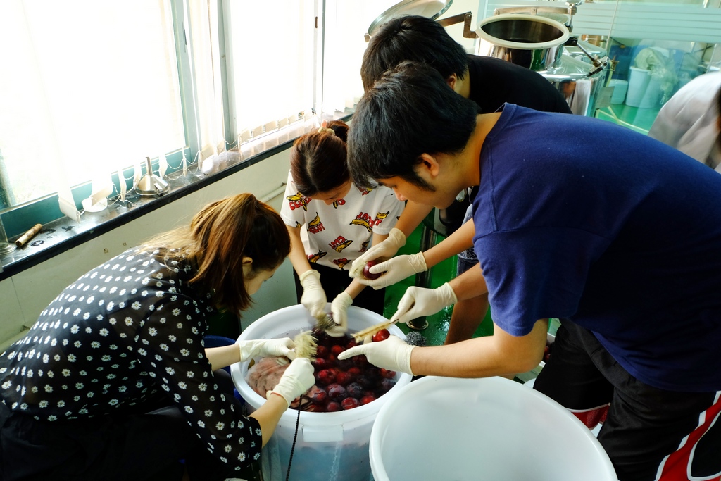 於大學城「現代食品工程研究院」一同製作果醋，同學有機會參與整個製作及分析過程。