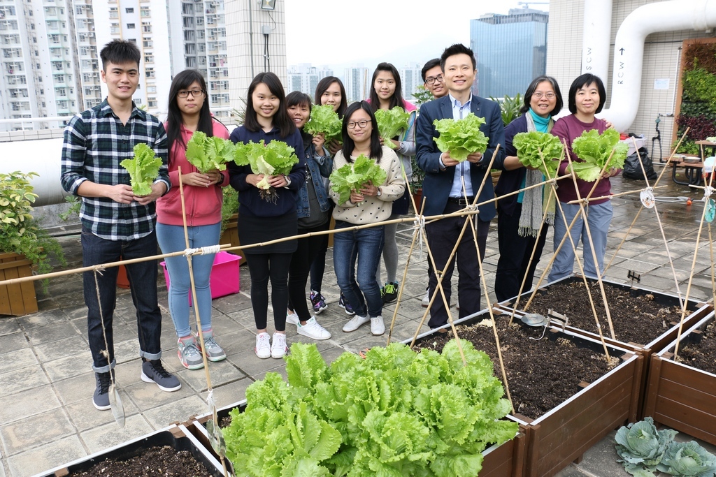 With persistent hard work, Green Ambassadors have a big harvest from “Green Haven”  this Spring.