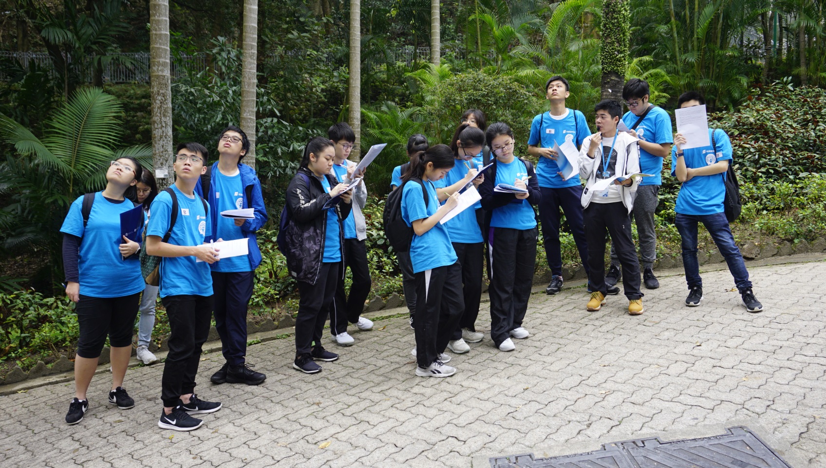 树艺师带领同学在香港公园实地考察不同的树种、了解树木评估及树艺师的工作。