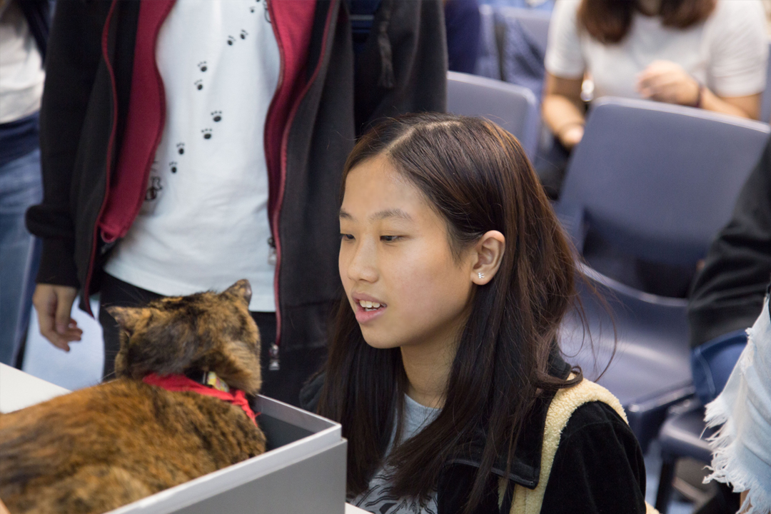 同学在讲座后可以和动物导师接触互动。