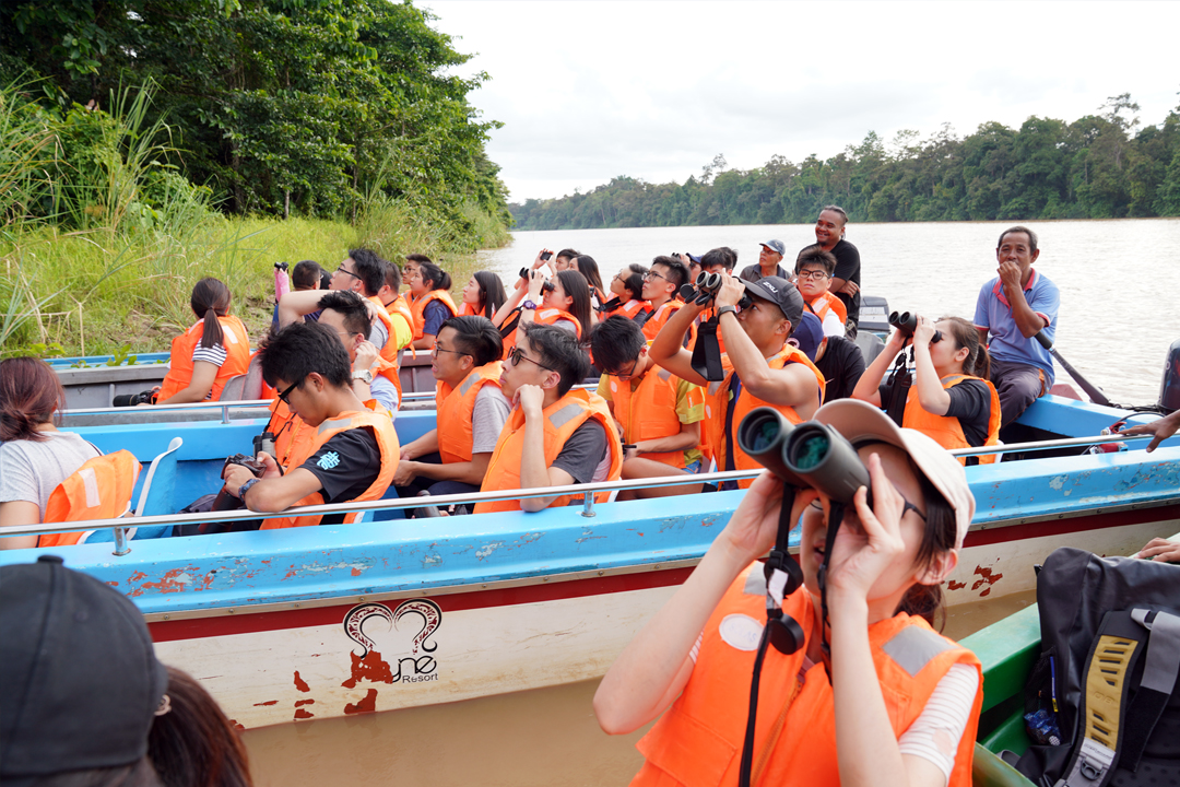 修读地理及资源管理专修的同学远赴马来西亚沙巴考察热带雨林，沿着京那巴当岸河近距离观察自然生态。