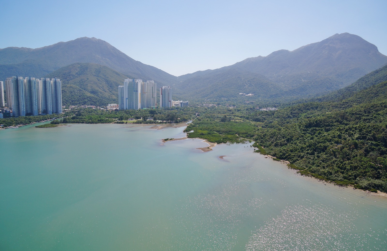 东涌河是香港少数由河源至河口仍保留着完整的天然地貌的河流，东涌湾仍保存天然状况尤其难得。(绿色力量提供相片)