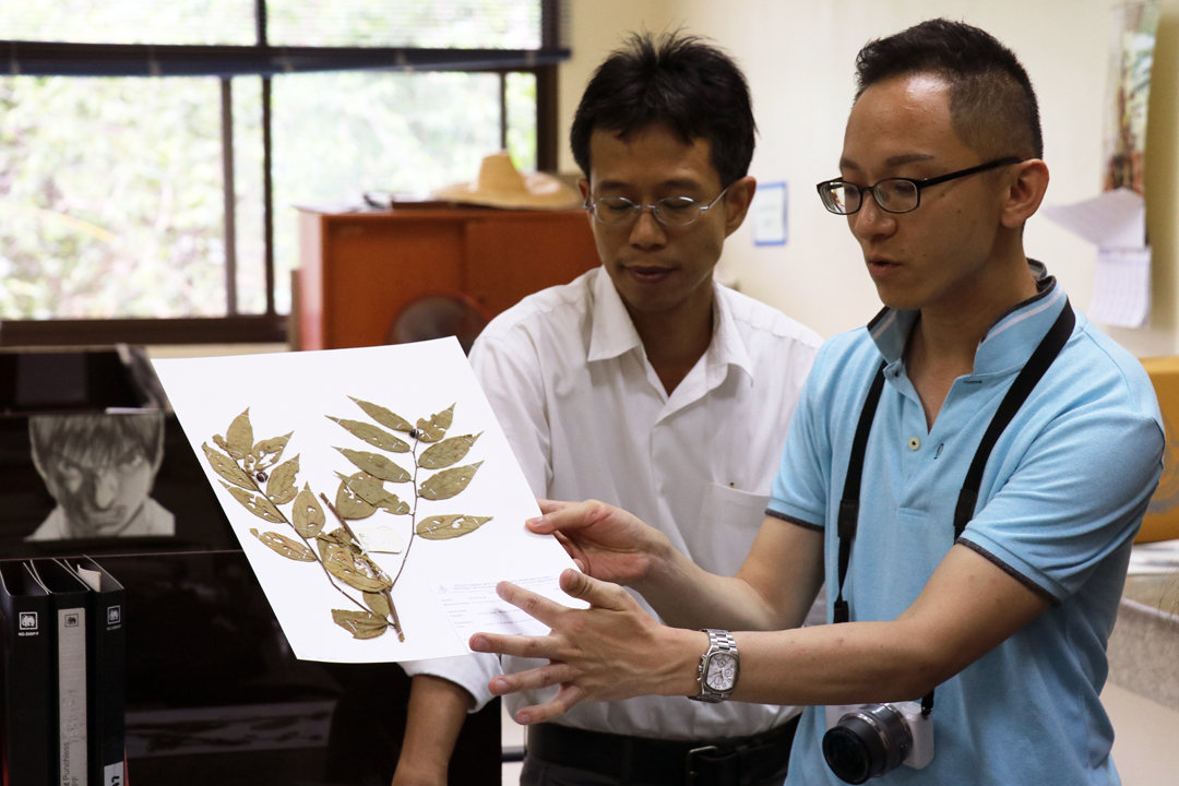 國際學院樹木管理專修講師鄧銘澤博士率領同學到泰北的植物園及蘑菇研究中心，認識當地的稀有品種。