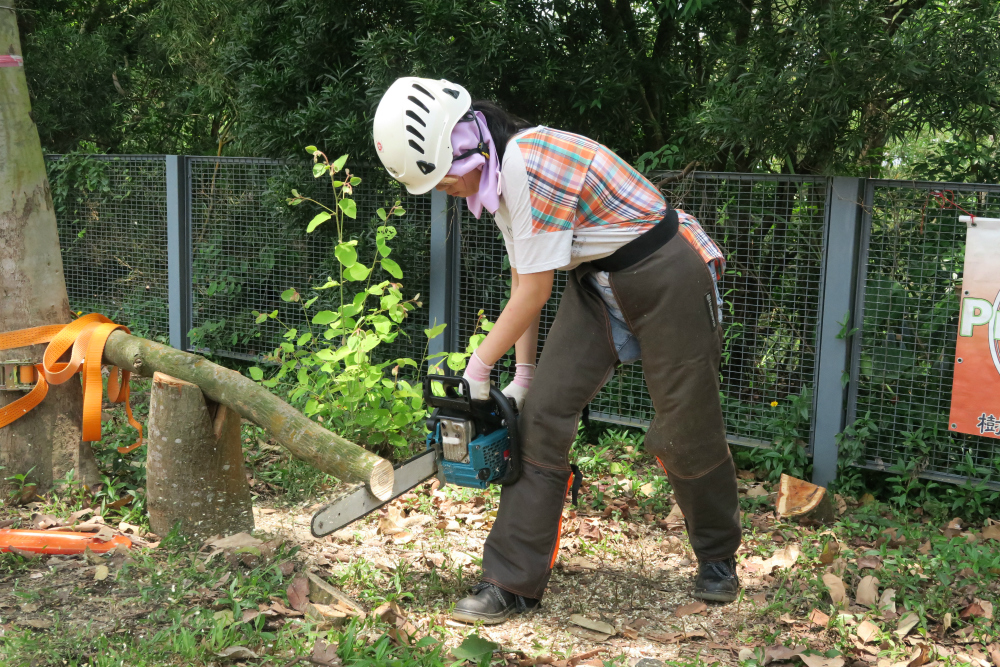 Chan Wing Sang, Minnie (Tree Management, Year 1) demonstrates the use of the chainsaw by using the pushing chain.
