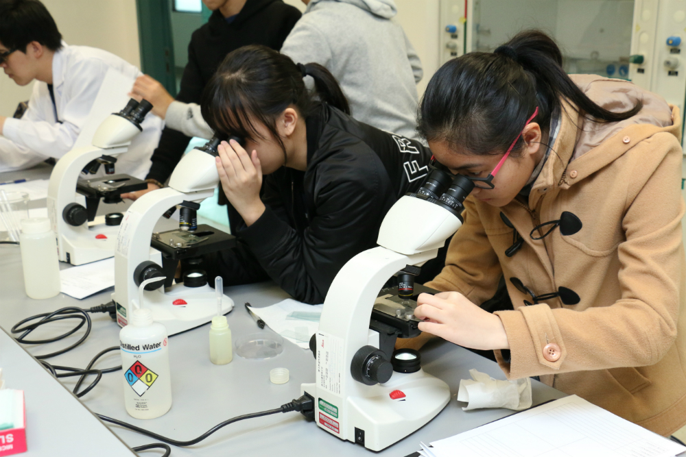 Secondary students observing water organisms by using microscopes in the Bioeco Laboratory of CIE.