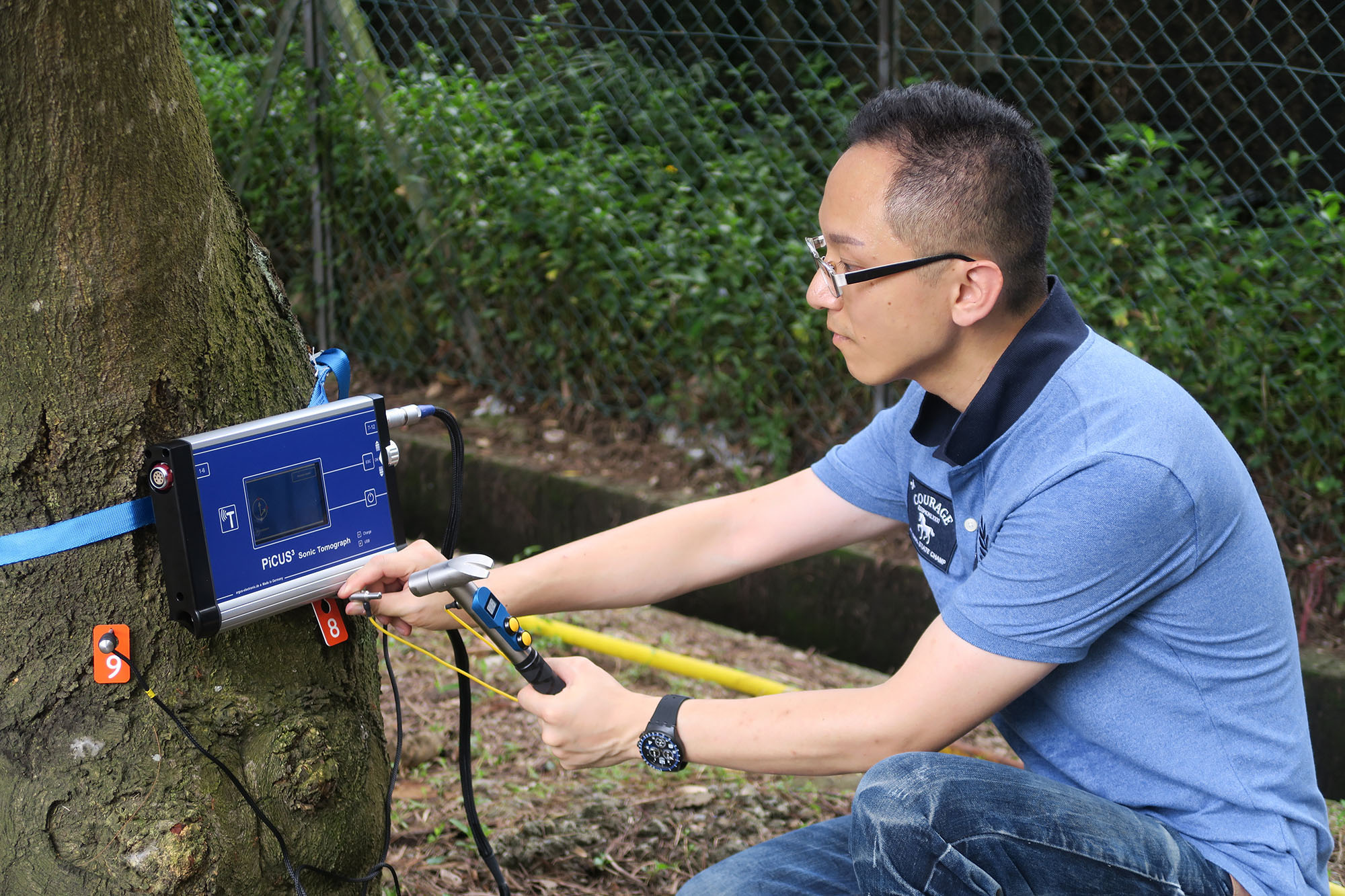 「樹木管理」專修教授實務工作技巧，鄧銘澤博士示範使用「樹木聲納探測儀」檢查樹木的枯萎程度。