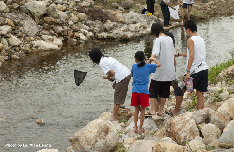 人类活动如捕捉河溪生物对东涌河的生态构成压力。