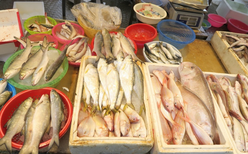 香港所食用的海鲜中多达90％来自亚太地区及世界各地进口，而且我们的消费量很大，香港人均海鲜食用量在亚洲排行第二，全球排行第八，因此我们的生态足印很大。(照片由胡丽恩博士拍摄)