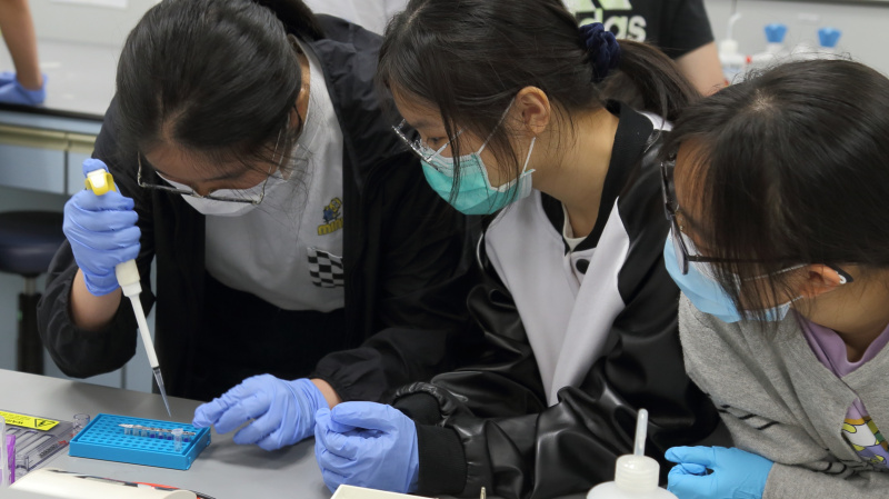 同学走进实验室，从「应用科学学部」工作坊中学习基因编码系统。