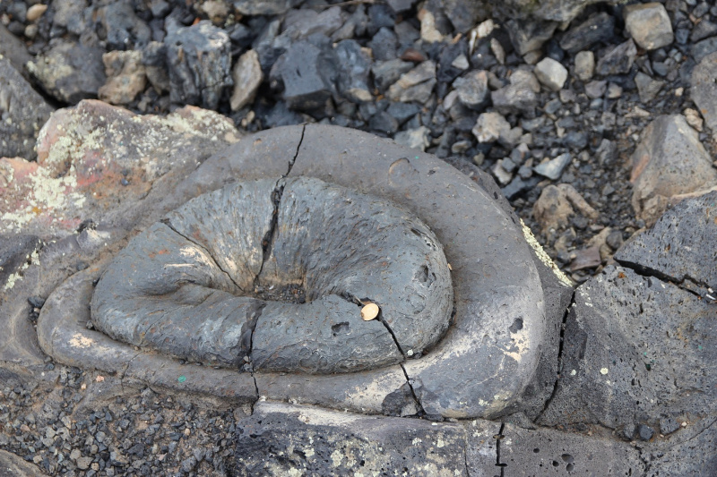 五大连池是以独特的火山喷气碟闻名。 这些喷气碟是由地下气体喷发形成的，呈圆形或椭圆形凹陷，周围环绕着破碎的火山岩石。 [照片来源：蔡慕贞女士]